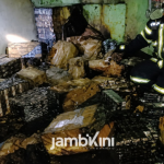 Kebakaran di Telanaipura Hanguskan Rumah dan Ruang Penyimpanan Rokok, Kerugian Masih Didata